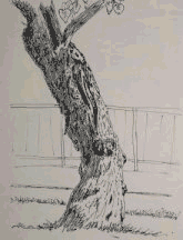 AC Tree